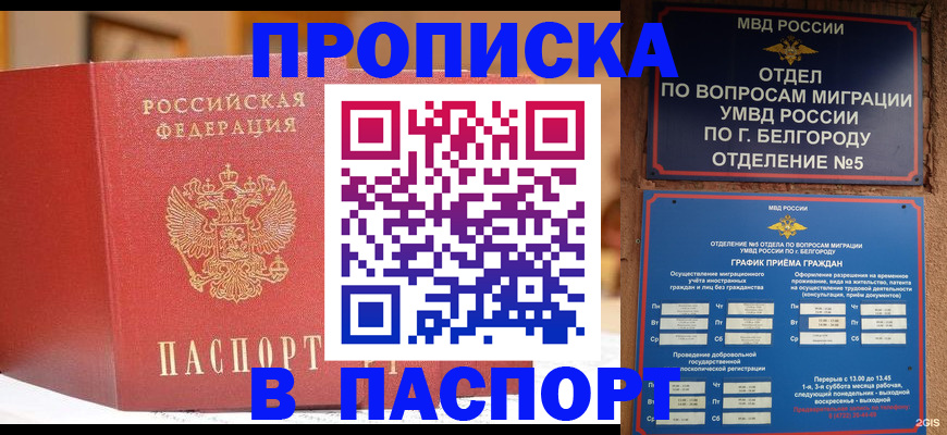 временная регистрация в квартире в Курске