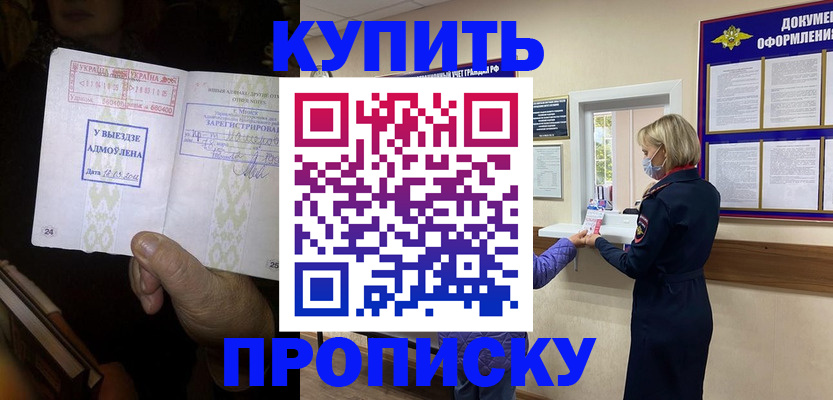 прописка законно в Курске